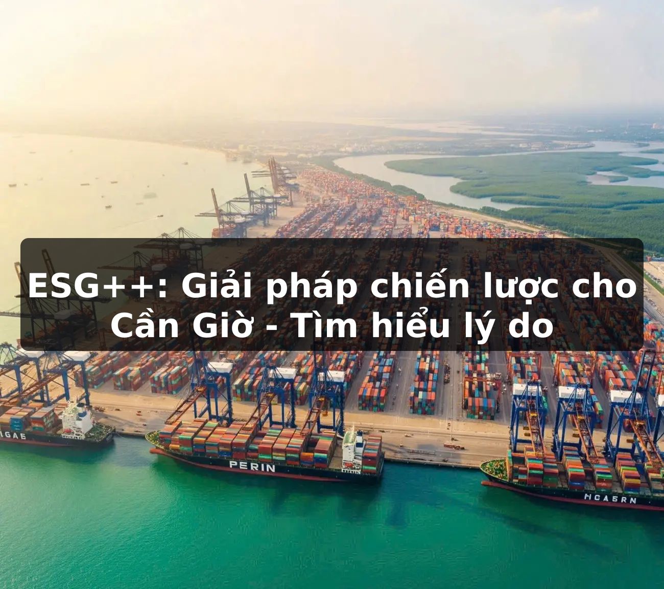 ESG++: Giải pháp chiến lược cho Cần Giờ - Tìm hiểu lý do