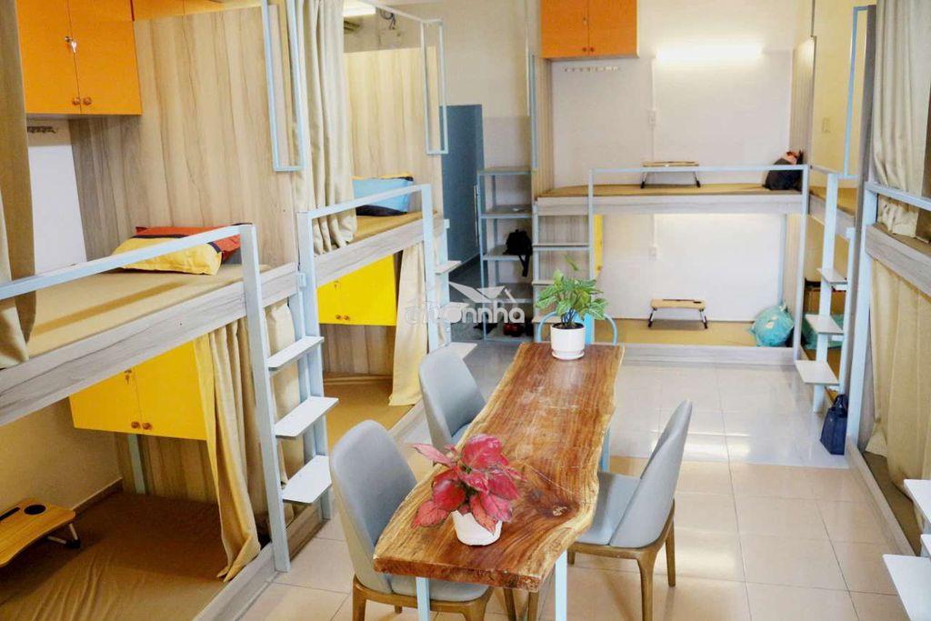 Ở ghép & Thuê căn: Chọn gì phù hợp túi tiền?
