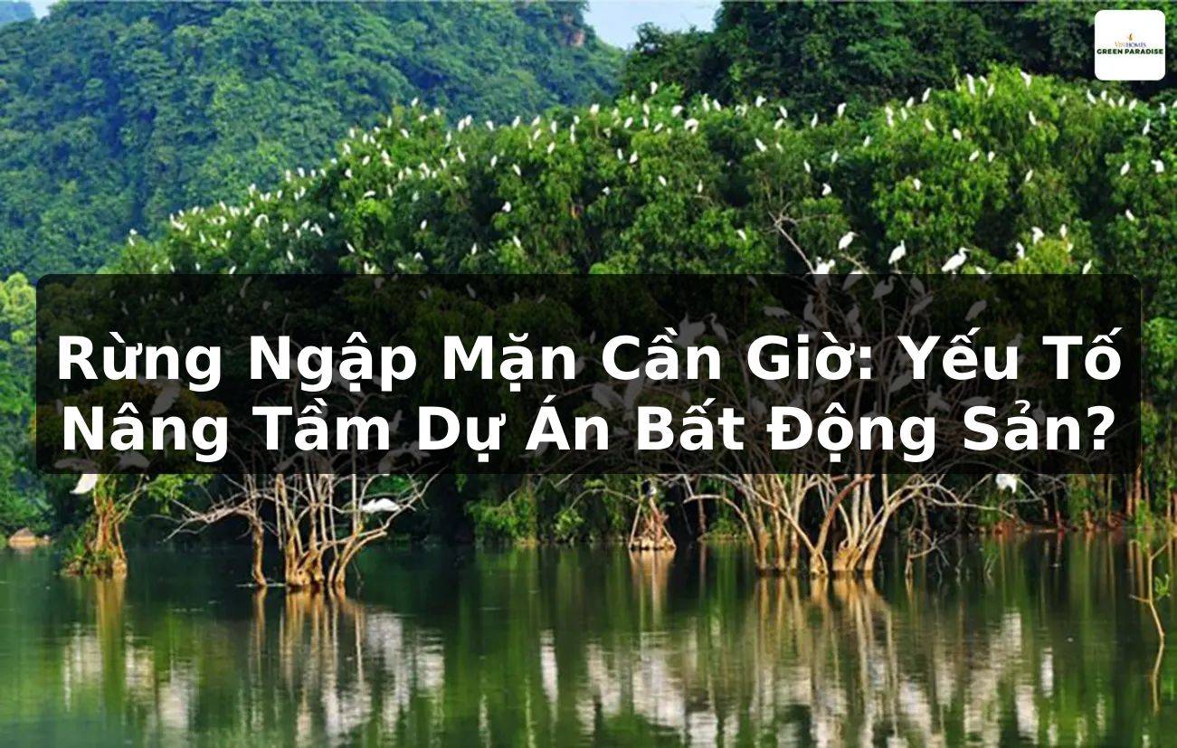 Rừng Ngập Mặn Cần Giờ: Yếu Tố Nâng Tầm Dự Án Bất Động Sản?