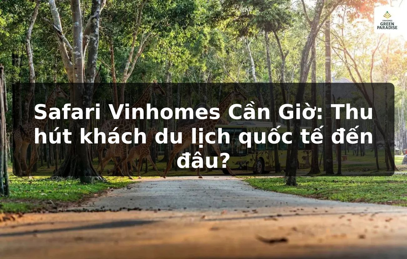 Safari Vinhomes Cần Giờ: Thu hút khách du lịch quốc tế đến đâu?