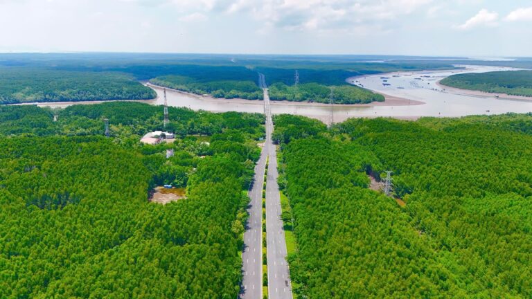 Bán đất nền Cần Giờ - Không gian sống xanh, trong lành