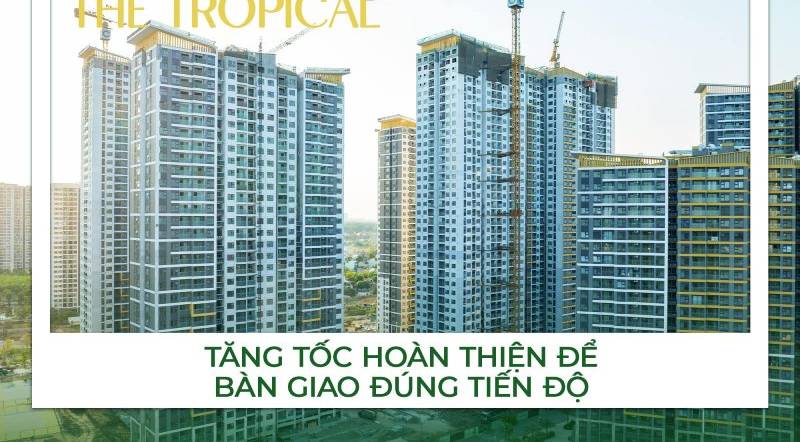 image-beverly-solari-to-am-an-cu-tien-ich-vuot-troi-183