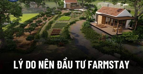Farmstay là gì? Tiềm năng đầu tư farmstay tại Việt Nam