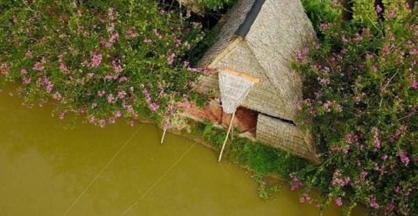 Homestay là gì? Đánh giá tiềm năng đầu tư Homestay năm 2024