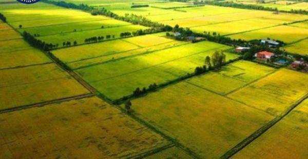 Hợp Thửa Đất Từ 01/08/2024: Điều Kiện & Nguyên Tắc Mới Nhất