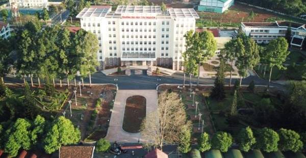 Khu Trọ Sinh Viên Gần Đại Học Tây Nguyên: Giá Rẻ, Tiện Nghi