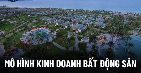 Kinh Doanh Bất Động Sản Cho Người Mới: Các Mô Hình Hiệu Quả